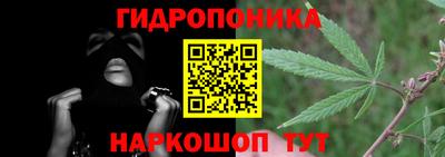 крисы Севастополь