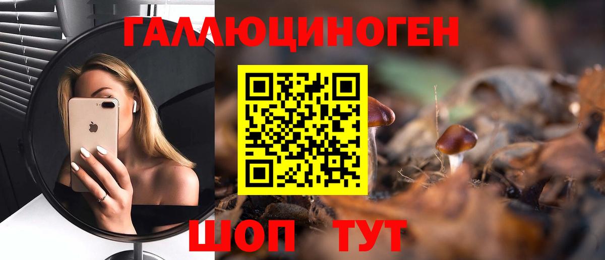 Галлюциногенные грибы Psilocybe  Галлюциногенные грибы MAGIC MUSHROOMS  Прохладный  Вход с VPN 